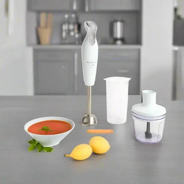 MIXEUR PLONGEANT MOULINEX 600W 500 ML - BLANC MOULINEX