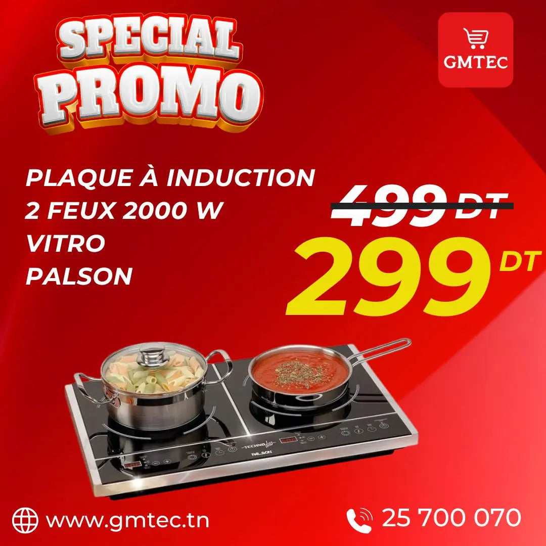 PLAQUE DE CUISSON A INDUCTION PALSON 2FEUX 2000W - VITRO PALSON