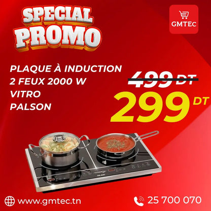 PLAQUE DE CUISSON A INDUCTION PALSON 2FEUX 2000W - VITRO PALSON