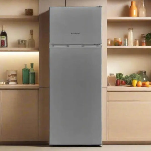 REFRIGERATEUR NEWSTAR 300 LITRES DEFROST 300 S - SILVER NEWSTAR